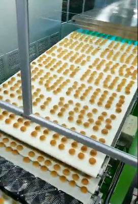PLC Control 1000kg/H Sweet Bun Automatic Bread Production Line