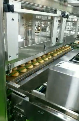 ISO Special Purposed Push Type Vacuum Cake Depanner