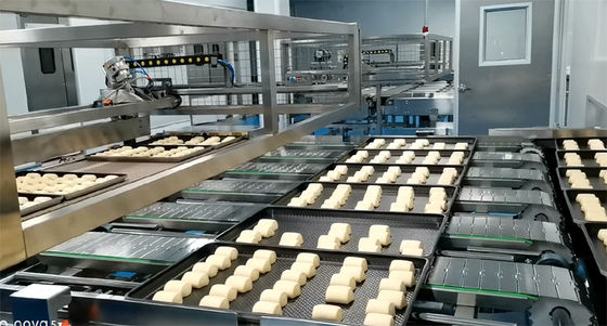 Vertical In Line Automatic Continuous Bread Dough Proofer