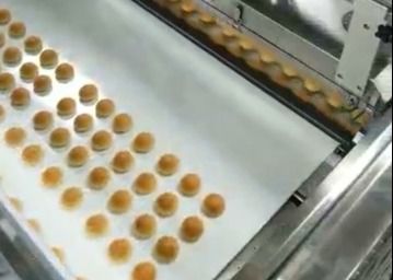 ISO Special Purposed Push Type Vacuum Cake Depanner