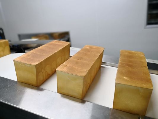 Mesh Belt Oven Hygiene 1000kg/H Bread Production Equipment