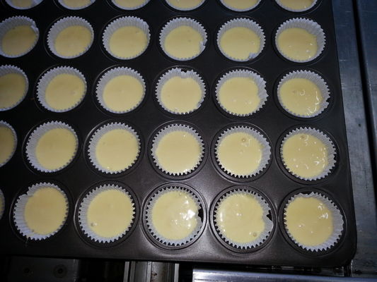 ISO 9000 220V 2.5KW Jam Injecting Sponge Cake Depositor